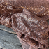 Tissu sequins plats - Rose marsala x20cm